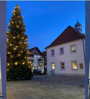 Tannenbaum auf dem Rathausplatz mit Adventskalender