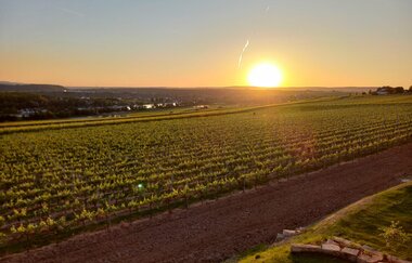 Sundowner Wein und Sektgut Hirschmüller | Weinprobe | Weingut | Lauffen | © NZT