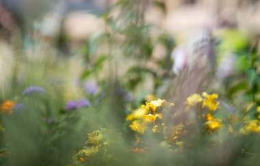 Aktionstag Heilbronn erleben