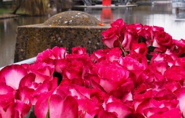 Aktionstag Valentinstag