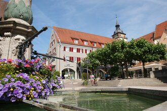 Alte Stadt und Moderne Kunst: Altstadtführung Bietigheim-Bissingen
