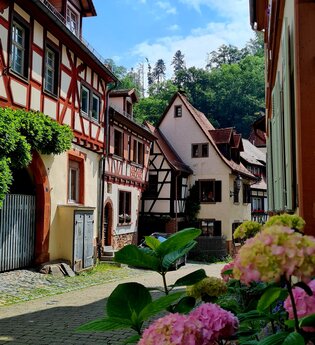 Altstadtzauber