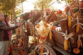 Ein älteres Paar betrachtet einen herbstlich dekorierten Wagen mit Kürbissen und Maiskolben. | © Erlebnispark Tripsdrill