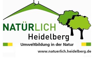 Apfelsammeln auf der Streuobstwiese
