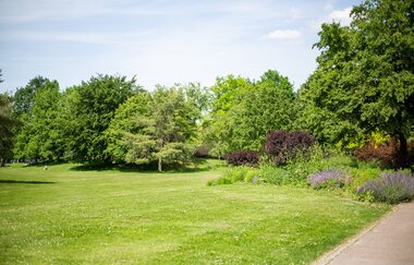 Auf den Spuren der Landesgartenschau - Die Wertwiesen