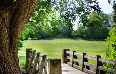 Auf den Spuren der Landesgartenschau - Die Wertwiesen