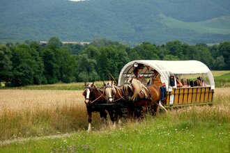 Auf den Spuren der Maulbronner Mönche