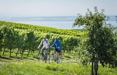 Auf den Spuren der Römer durchs Zabergäu | © TMBW