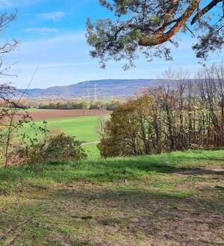 Auf den Spuren der Römer rund um den Feldherrenhügel