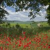 Auf den Spuren des Dachsenfranz – Vom Kraichgau in den Kleinen Odenwald | © Landratsamt Rhein-Neckar-Kreis