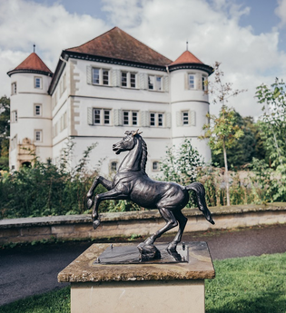 Wasserschloss im Hintergrund mit kleiner Statue des schwarzen Rappen auf Sockel im Vordergrund | © Stadt Bad Rappenau I Chris Frumolt