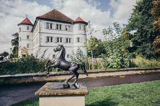 Wasserschloss im Hintergrund mit kleiner Statue des schwarzen Rappen auf Sockel im Vordergrund | © Stadt Bad Rappenau I Chris Frumolt