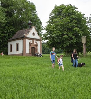 Auftaktwanderung der 19. Taubertäler Wandertage | © Stadt Tauberbischofsheim