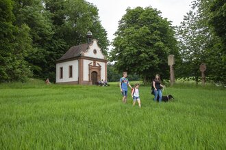 Auftaktwanderung der 19. Taubertäler Wandertage | © Stadt Tauberbischofsheim