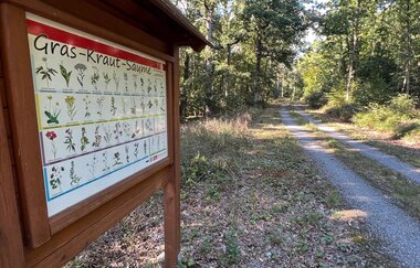 Auftaktwanderung der 19. Taubertäler Wandertage