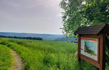 Auftaktwanderung der 19. Taubertäler Wandertage | © Tauberbischofsheim