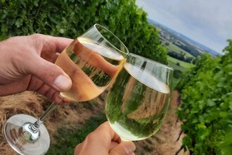 Anstossende Gläser mit Weißwein im Weinberg | © Touristikgemeinschaft Hohenlohe e. V. | Gemeinde Pfedelbach