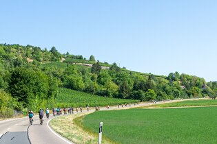 Autofreier Sonntag 2026 | © Liebliches Taubertal