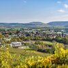 Rund im Eibensbach | Blick auf Güglingen | © Stadt Güglingen