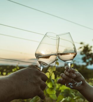 Bad Schönborner Weinwandertag