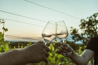 Bad Schönborner Weinwandertag