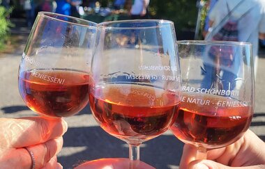 Bad Schönborner Weinwandertag
