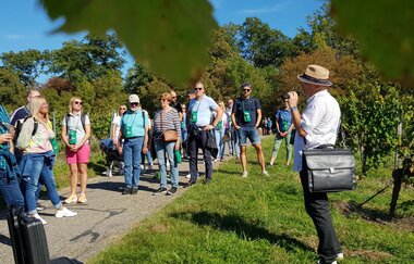 Bad Schönborner Weinwandertag