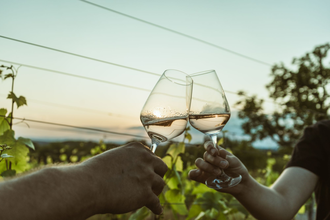 Bad Schönborner Weinwandertag