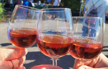 Bad Schönborner Weinwandertag