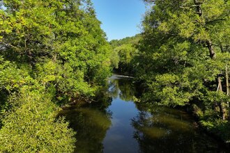 Die Jagst bei Mulfingen mit Bäumen am Ufer | © Touristikgemeinschaft Hohenlohe e.V. | Andi Schmid