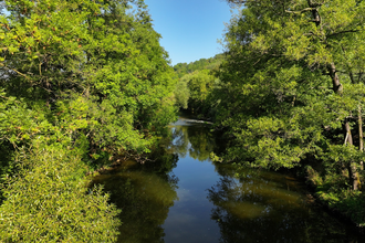 Die Jagst bei Mulfingen mit Bäumen am Ufer | © Touristikgemeinschaft Hohenlohe e.V. | Andi Schmid