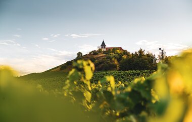 Michaelsberg Cleebronn | Heilbronn | © Touristikgemeinschaft HeilbronnerLand