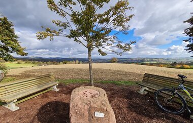 Bannwald - Neckarschleife - Evolutionspfad | © Quelle: Landratsamt Rhein-Neckar-Kreis