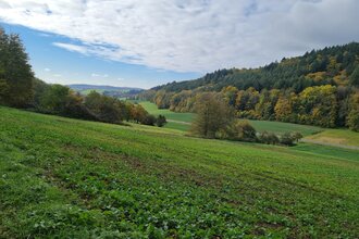 Bannwald - Neckarschleife - Evolutionspfad