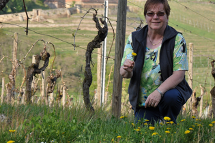 Bärbel Manthey | Naturführerin | Weinberge | Brackenheim | © NZT