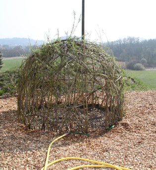 Bau einer Weidenhütte