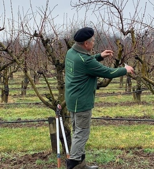 Baumschnittkurs - Ausgebucht | © Wino Bio GmbH