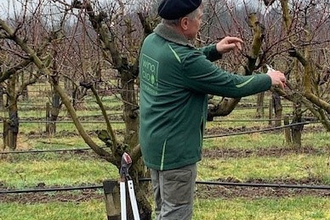 Baumschnittkurs - Ausgebucht | © Wino Bio GmbH