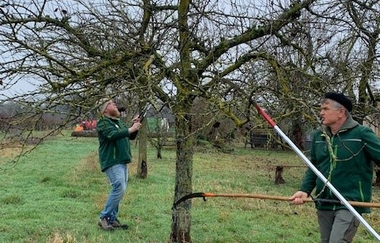 Baumschnittkurs - Ausgebucht | © Wino Bio GmbH