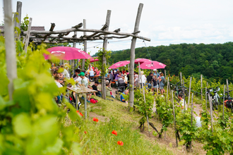 Berg & Wein | Stromberg-Zabergäu | © WGSZ