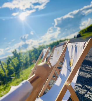 BergFest - WeinAfterWork | © Weingut Herzog von Württemberg