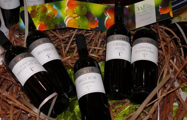 Besen geöffnet | Weingut Ungerer | © Touristikgemeinschaft Hohenlohe e. V. | Weingut Ungerer