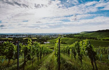 Besenwirtschaft Rolf Heinrich | © Weingut Schäfer-Heinrich, Nico Kurth