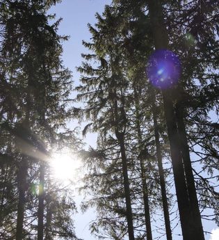 Bewirtung auf Burg Blankenhorn am 1. Mai | © TMBW