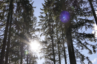 Bewirtung auf Burg Blankenhorn am 1. Mai | © TMBW