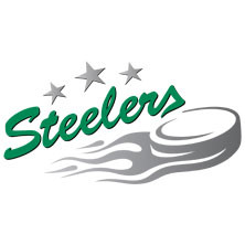 Logo der Bietigheim Steelers mit drei Sternen und einem Puck. | © see on the left