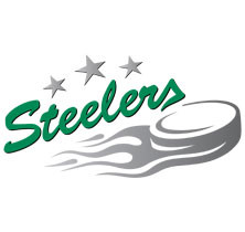 Logo der Bietigheim Steelers mit drei Sternen und einem Puck. | © see on the left