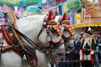 Bietigheimer Pferdemarkt | © Stadt Bietigheim-Bissingen