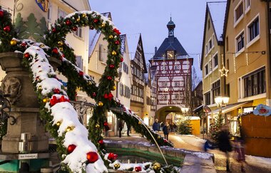Bietigheimer Sternlesmarkt