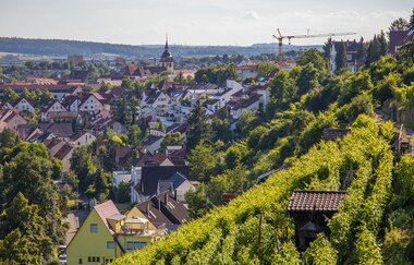 Bietigheimer Weinwanderung am 1. Mai